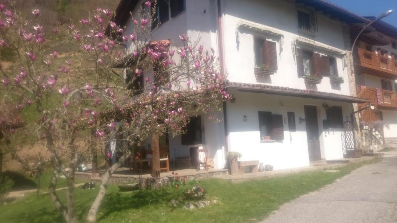 B&B In Fattoria Frisanco エクステリア 写真