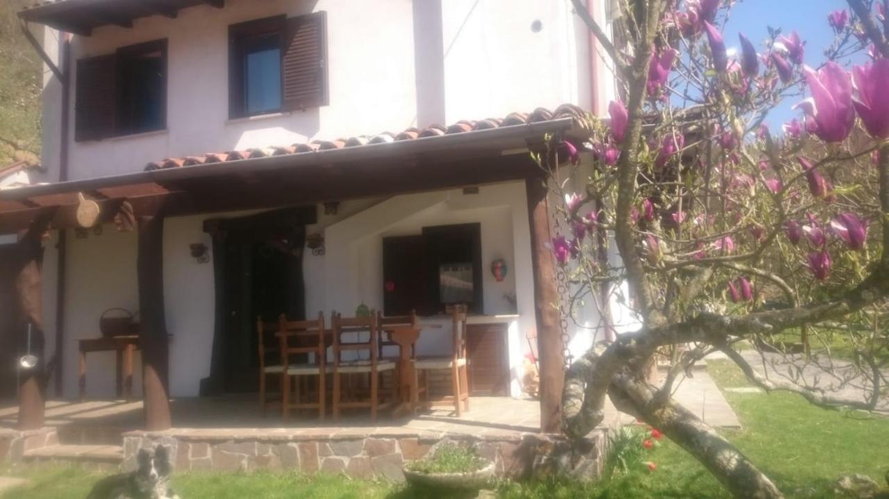 B&B In Fattoria Frisanco エクステリア 写真